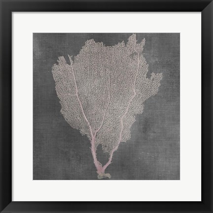 Framed Natural Sea Fan I Print