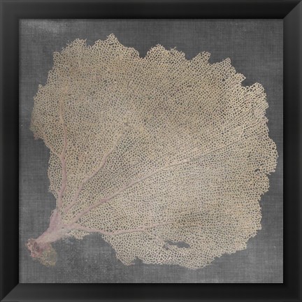 Framed Natural Sea Fan V Print