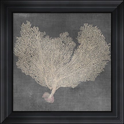 Framed Natural Sea Fan VI Print
