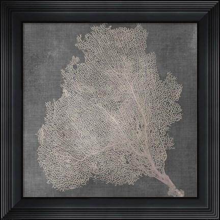 Framed Natural Sea Fan VII Print
