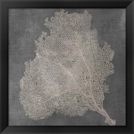 Framed Natural Sea Fan VII Print