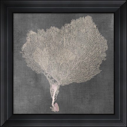 Framed Natural Sea Fan VIII Print