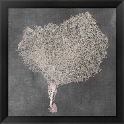 Framed Natural Sea Fan VIII Print