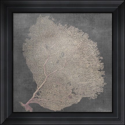 Framed Natural Sea Fan IX Print