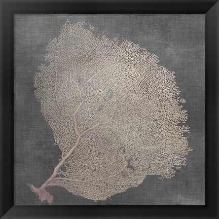 Framed Natural Sea Fan IX Print