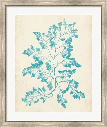 Framed Aquamarine Seaweed I Print