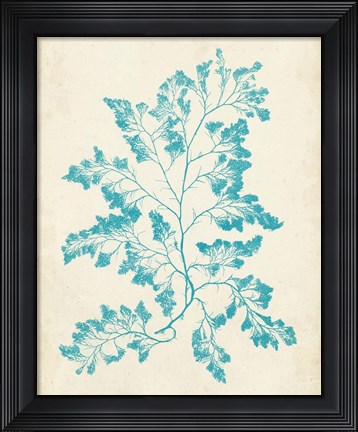 Framed Aquamarine Seaweed I Print