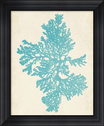 Framed Aquamarine Seaweed II Print