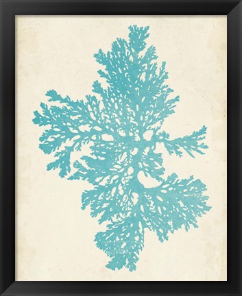 Framed Aquamarine Seaweed II Print