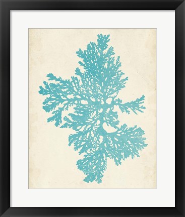 Framed Aquamarine Seaweed II Print