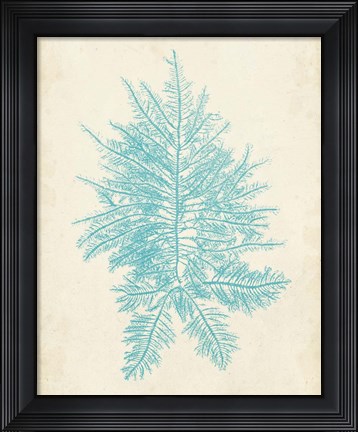 Framed Aquamarine Seaweed III Print