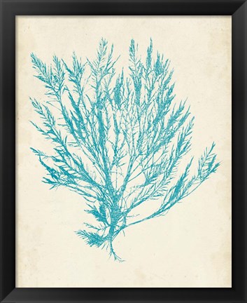 Framed Aquamarine Seaweed IV Print