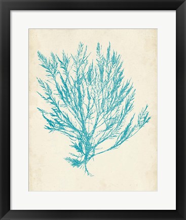 Framed Aquamarine Seaweed IV Print