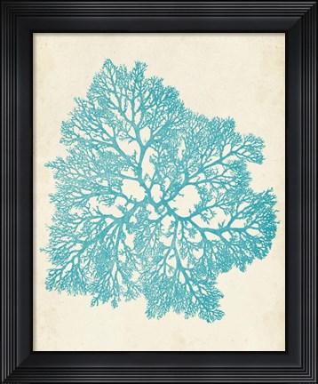 Framed Aquamarine Seaweed V Print