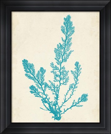 Framed Aquamarine Seaweed VI Print