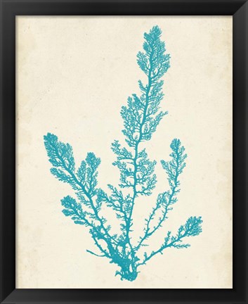 Framed Aquamarine Seaweed VI Print