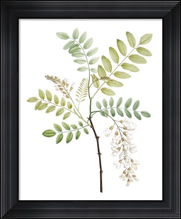Framed Soft Green Botanical I Print
