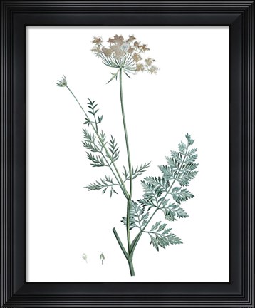 Framed Soft Green Botanical V Print