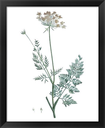 Framed Soft Green Botanical V Print