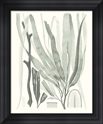 Framed Sage Green Seaweed II Print