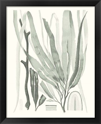 Framed Sage Green Seaweed II Print