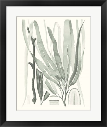 Framed Sage Green Seaweed II Print