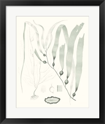 Framed Sage Green Seaweed III Print