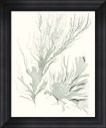Framed Sage Green Seaweed IV Print