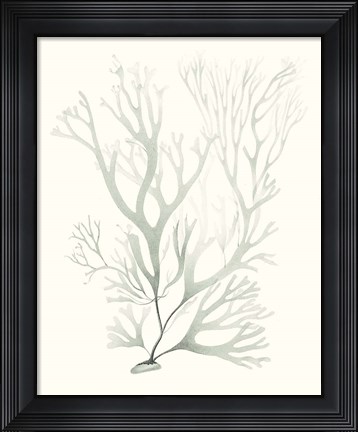 Framed Sage Green Seaweed V Print