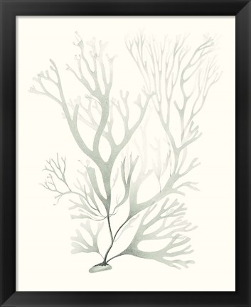 Framed Sage Green Seaweed V Print