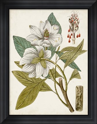 Framed Vintage Charm I Print