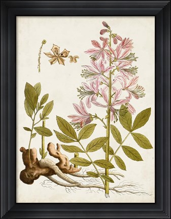 Framed Vintage Charm II Print