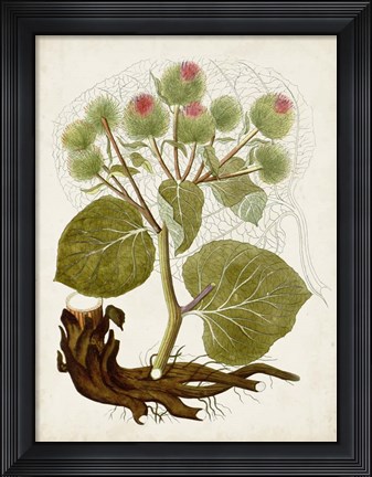 Framed Vintage Charm III Print