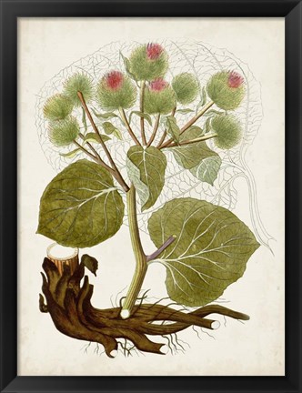 Framed Vintage Charm III Print
