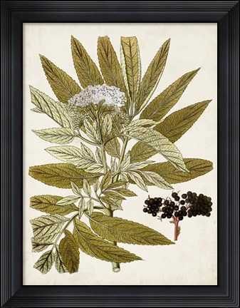 Framed Vintage Charm V Print