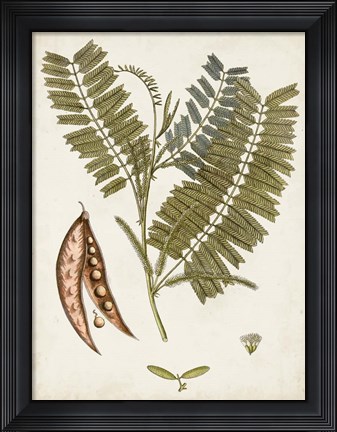 Framed Vintage Charm VII Print