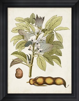 Framed Vintage Charm VIII Print