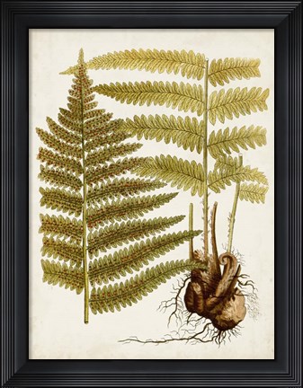 Framed Vintage Charm IX Print