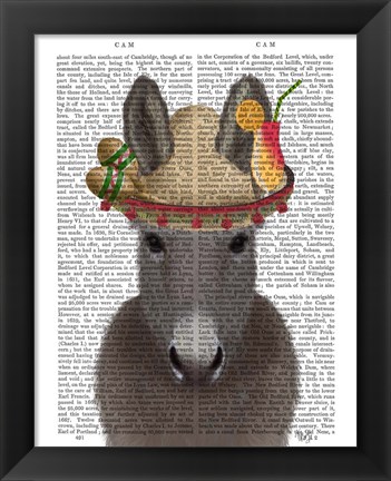 Framed Donkey Sombrero Book Print Print