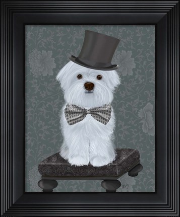 Framed Maltese with Top Hat Print