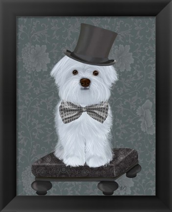 Framed Maltese with Top Hat Print