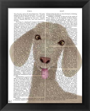 Framed Funny Farm Goat 1 Book Print Print