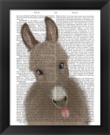 Framed Funny Farm Donkey 2 Book Print Print