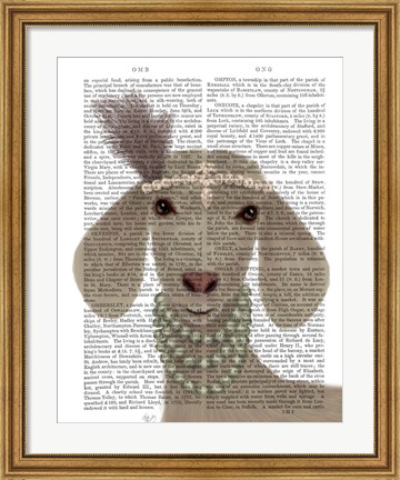 Framed Posh White Goat Book Print Print