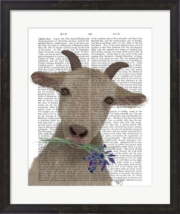 Framed Goat and Bluebells Book Print Print
