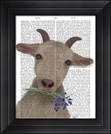 Framed Goat and Bluebells Book Print Print