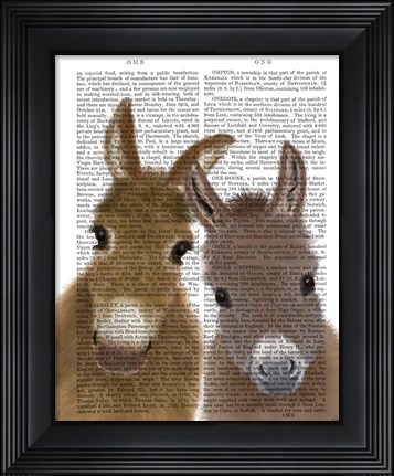 Framed Donkey Duo, Looking at You Book Print Print