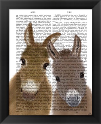 Framed Donkey Duo, Looking at You Book Print Print