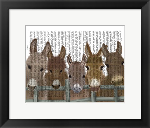 Framed Donkey Herd at Fence Book Print Print