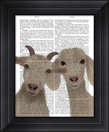 Framed Goat Duo, Looking at You Book Print Print